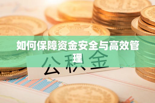 长武如何保障资金安全与高效管理
