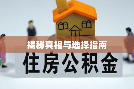 长武揭秘真相与选择指南