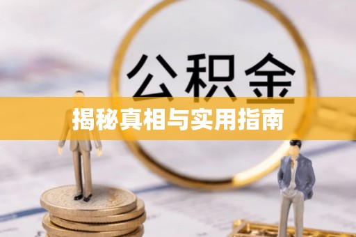长武揭秘真相与实用指南