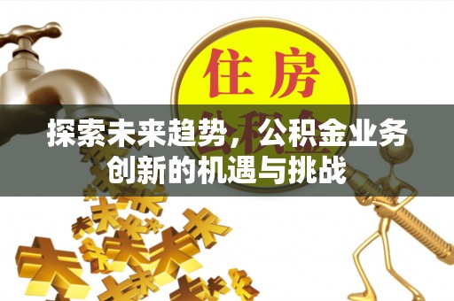 长武探索未来趋势，公积金业务创新的机遇与挑战