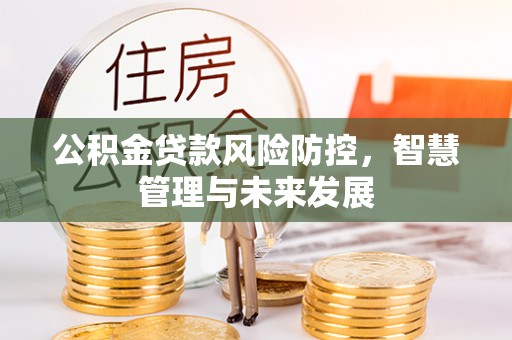 长武公积金贷款风险防控，智慧管理与未来发展