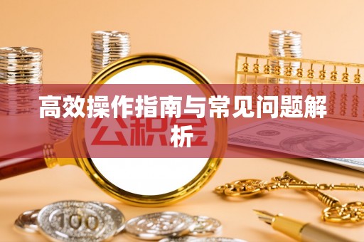 长武高效操作指南与常见问题解析
