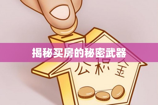 长武揭秘买房的秘密武器