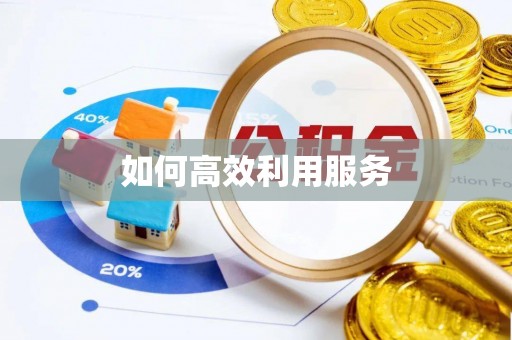长武如何高效利用服务