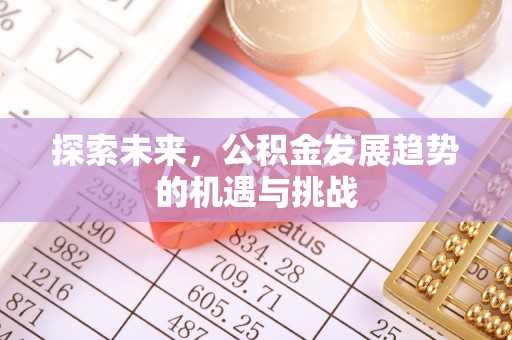 长武探索未来，公积金发展趋势的机遇与挑战