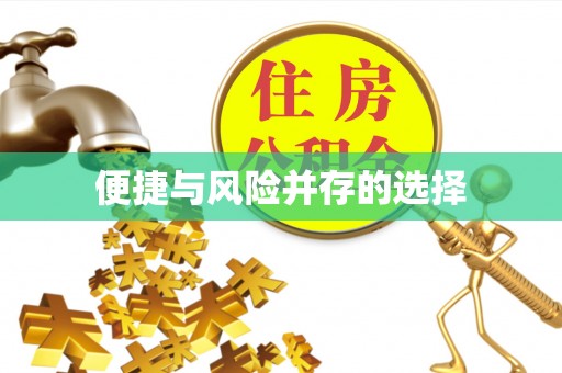 长武便捷与风险并存的选择